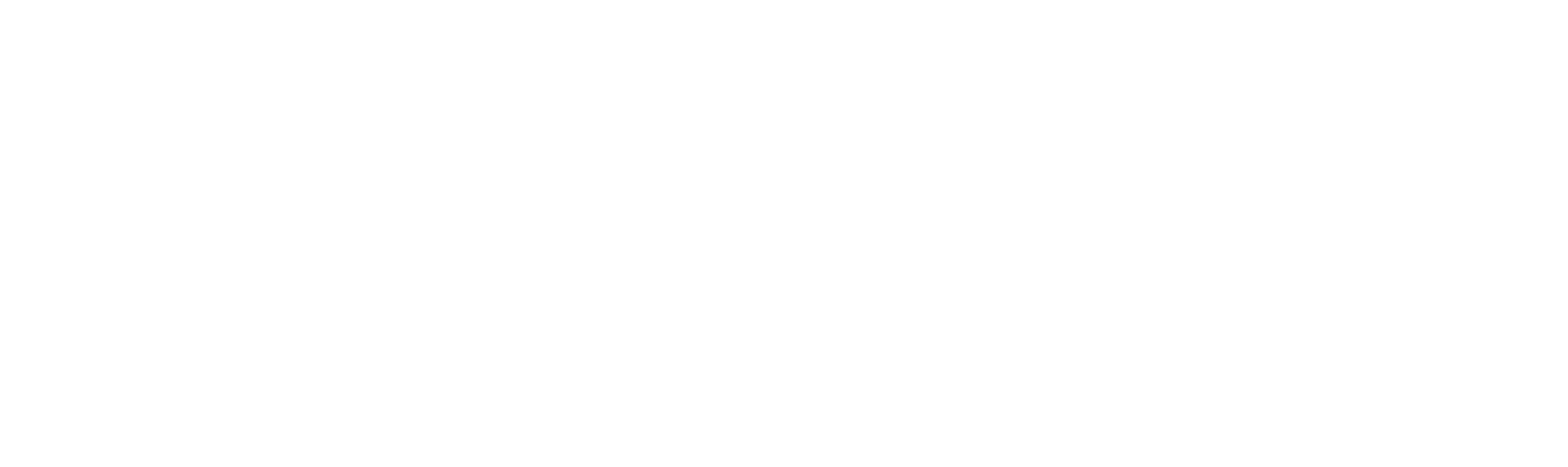 Black Iron Realty Logo